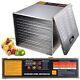 1200W 10 Tray Stainless Steel Dehydrator