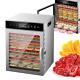 12 Trays Food Dehydrator Stainless Steel 12h Timer 800W Fruit Jerky Dryer Home