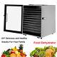 Commercial 12-Tray Food Dehydrator Stainless Steel Fruit Meat Jerky Dryer +Timer